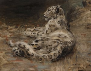 A Leopard